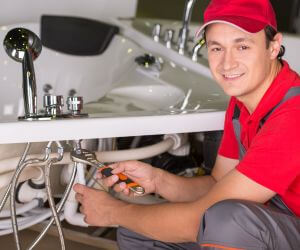 About Plumbers Pros Lulu, FL